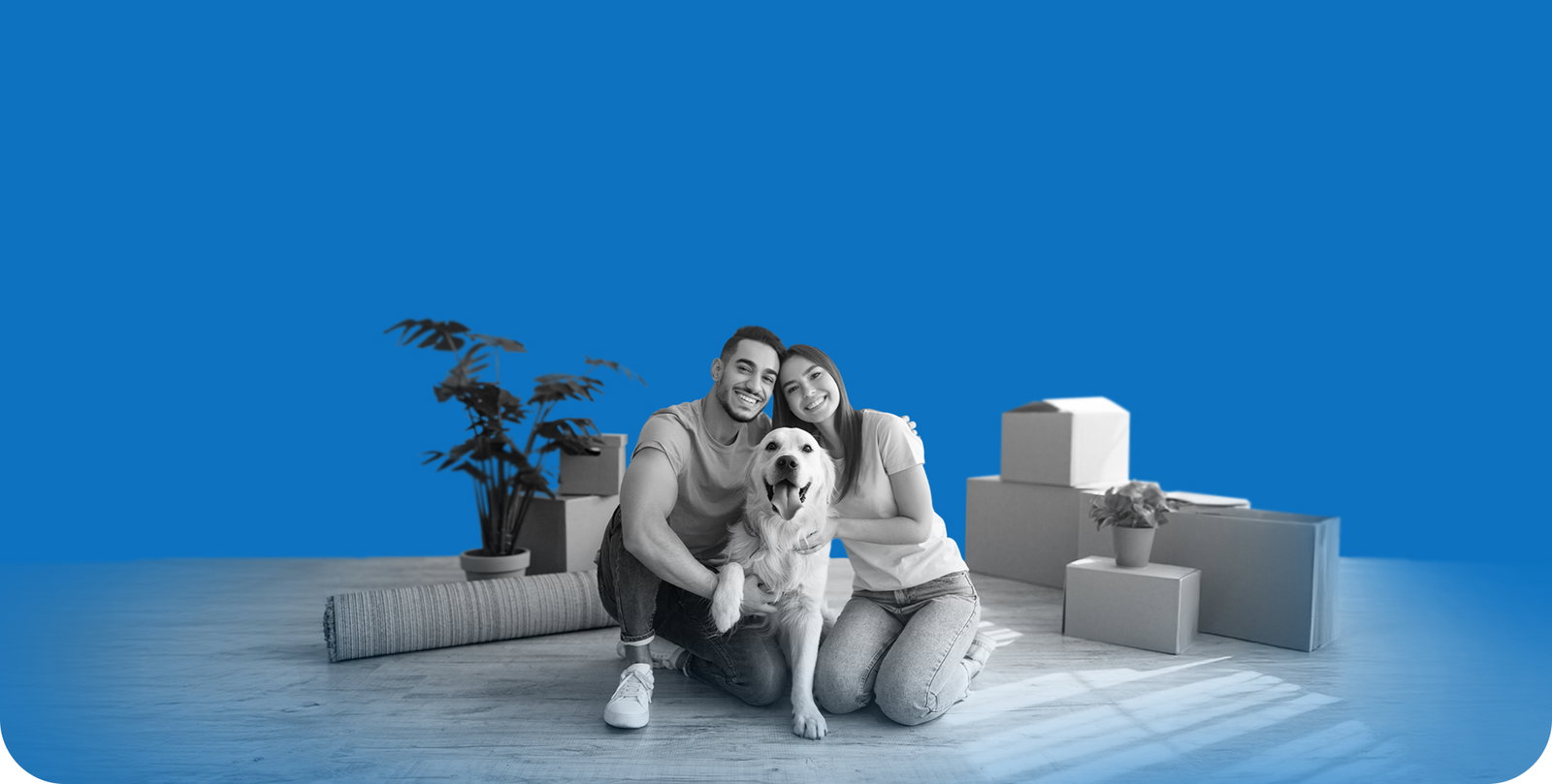 Zero down payment banner