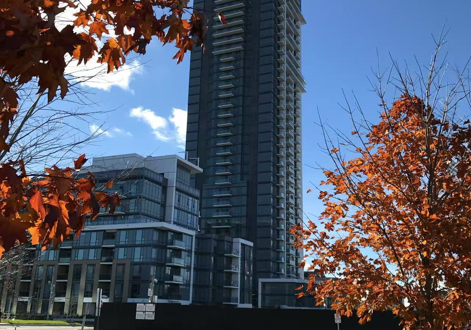 55-ann-oreilly-road-north-york-ontario-c12094526