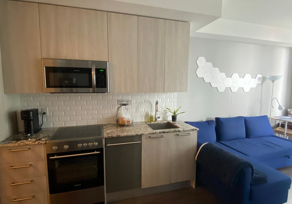 28-wellesley-street-e-toronto-ontario-c12096976