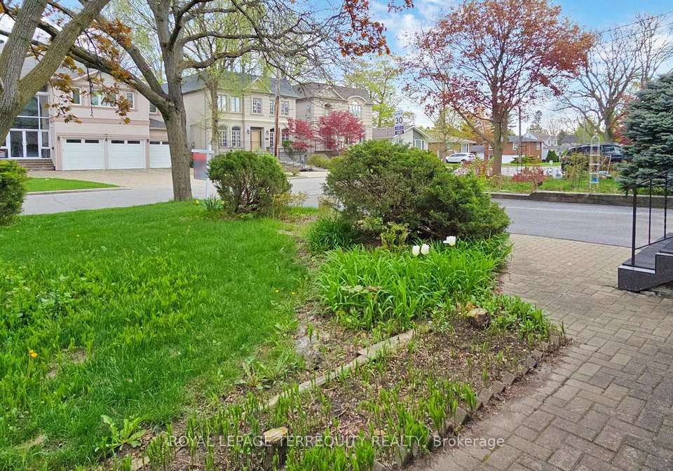 219-dunview-avenue-north-york-ontario-c12132931