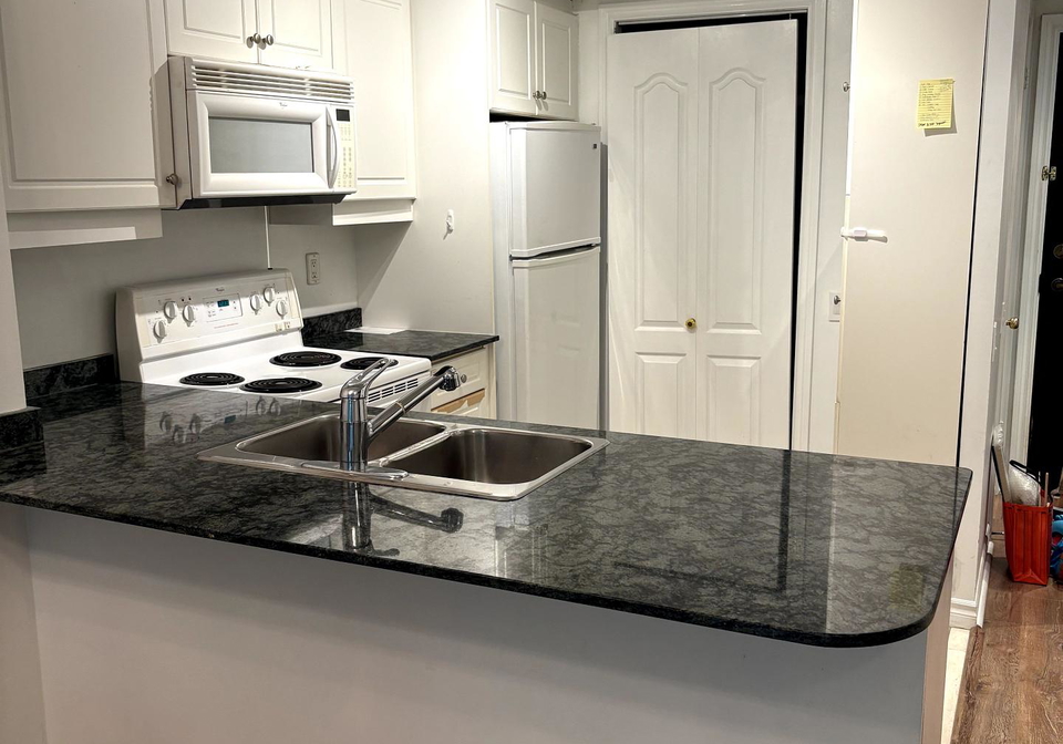 18-william-carson-crescent-north-york-ontario-c12156089