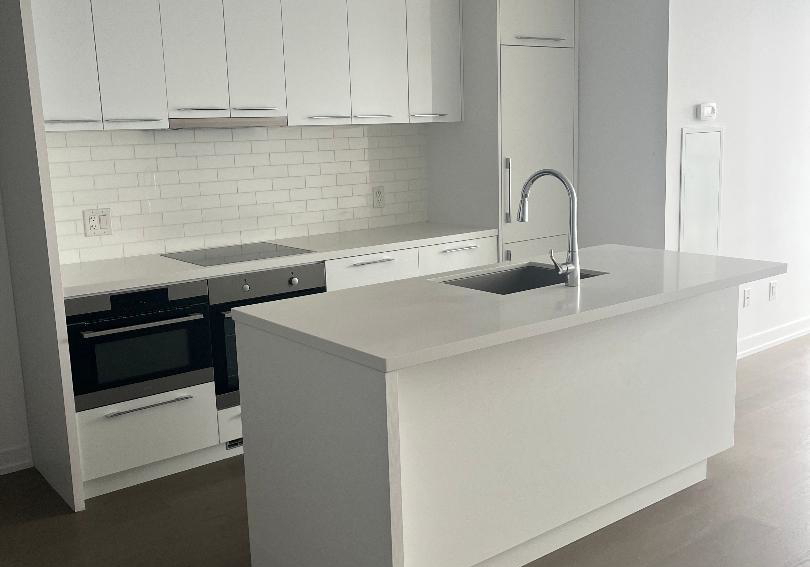 488-488-street-toronto-ontario-c12165158