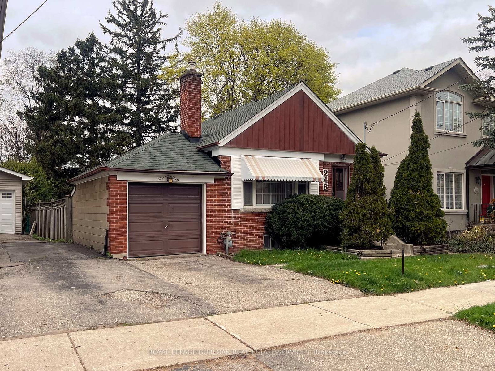 248-florence-avenue-toronto-ontario-c12167382