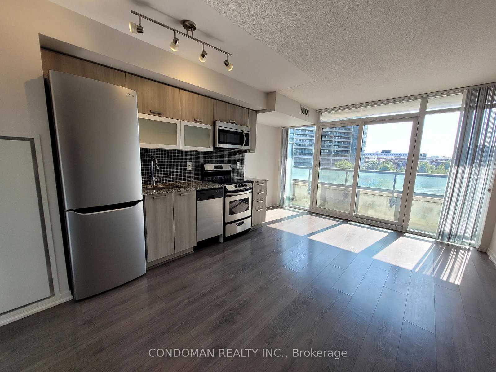 36-lisgar-street-toronto-ontario-c12167958