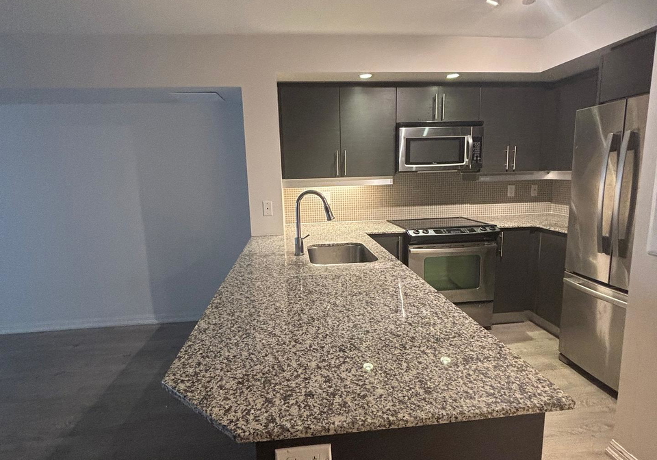 75-east-liberty-street-toronto-ontario-c12181445