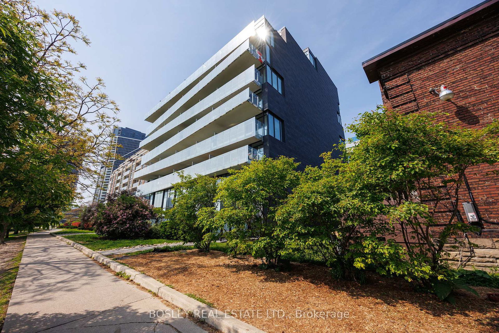 25-stafford-street-toronto-ontario-c12206573