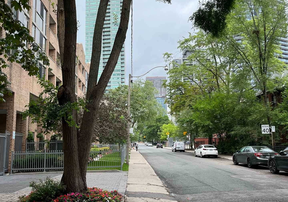60-homewood-avenue-toronto-ontario-c12207301