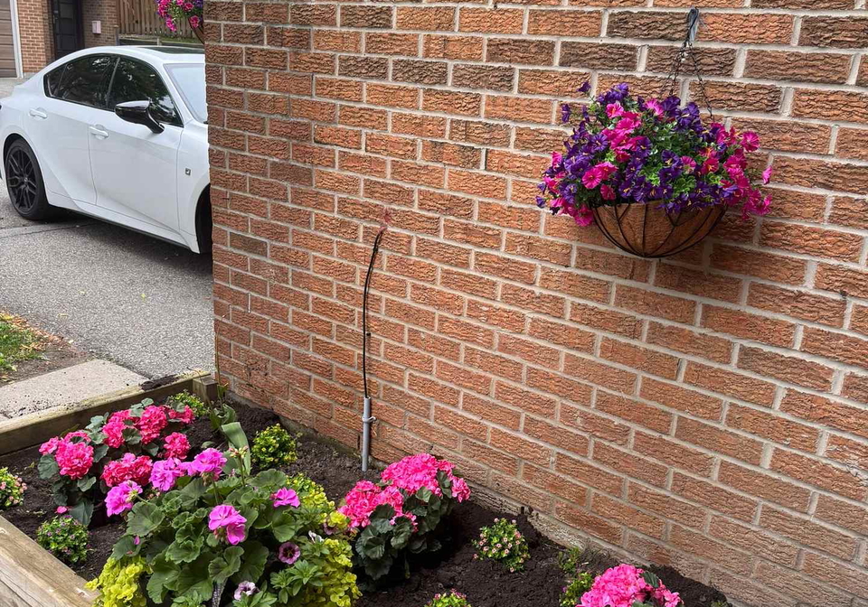 11-sego-royalway-north-york-ontario-c12209016