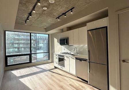 458-richmond-street-w-toronto-ontario-c12232480
