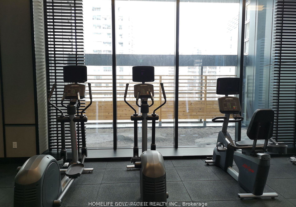 18-maitland-terrace-toronto-ontario-c12235029