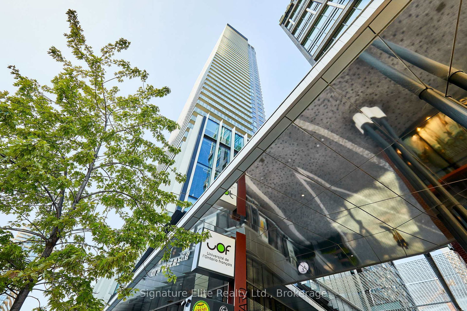 15-lower-jarvis-street-toronto-ontario-c12236520