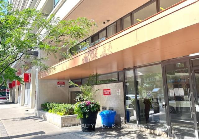 111-elizabeth-street-toronto-ontario-c12242081