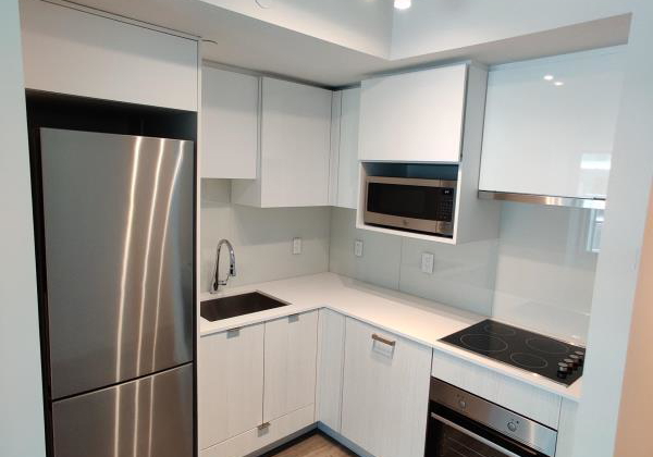 195-redpath-avenue-toronto-ontario-c12244275
