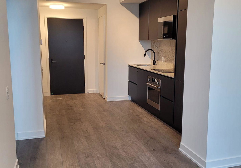 108-peter-street-toronto-ontario-c12244856