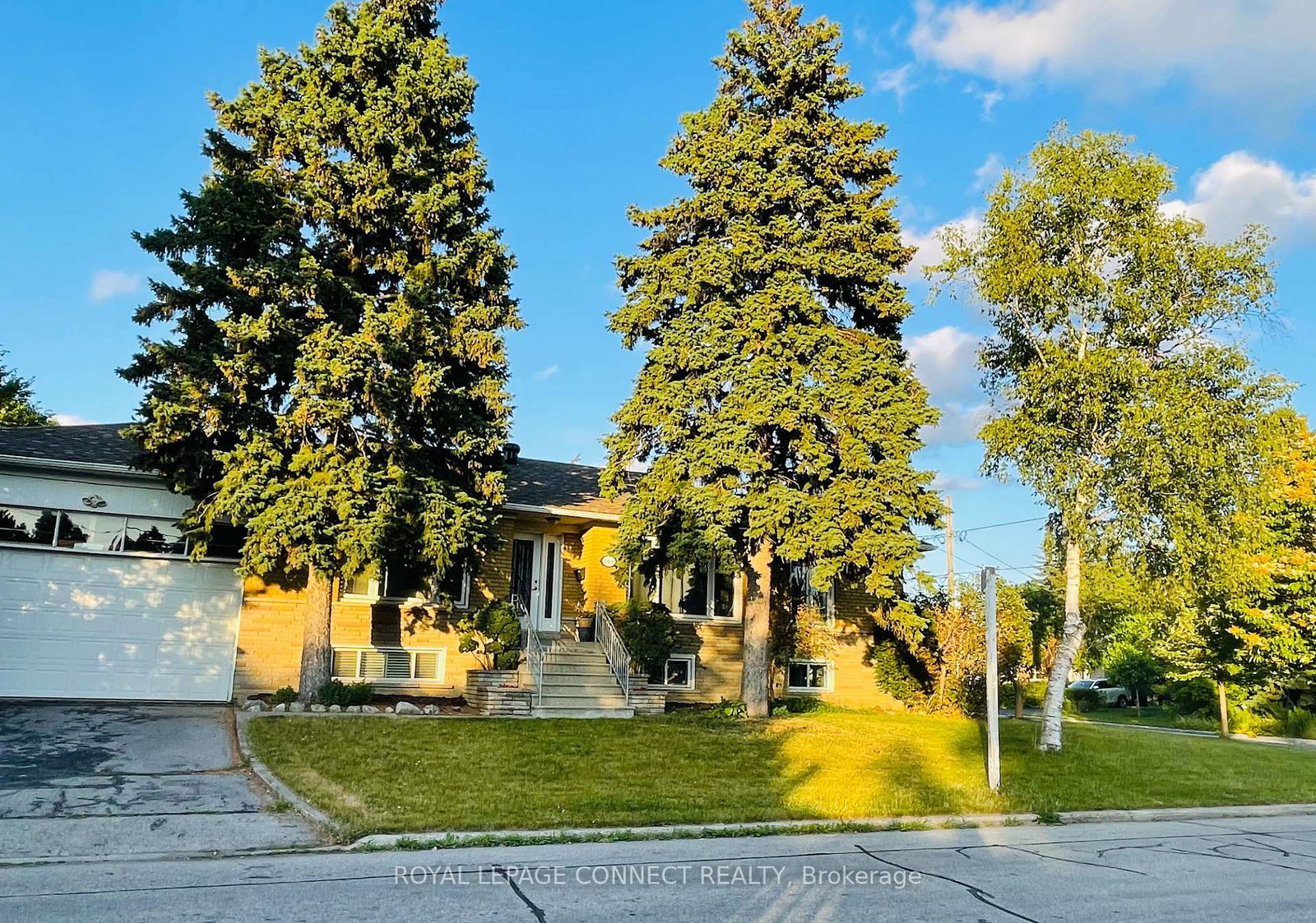 168-searl-avenue-toronto-ontario-c12253439