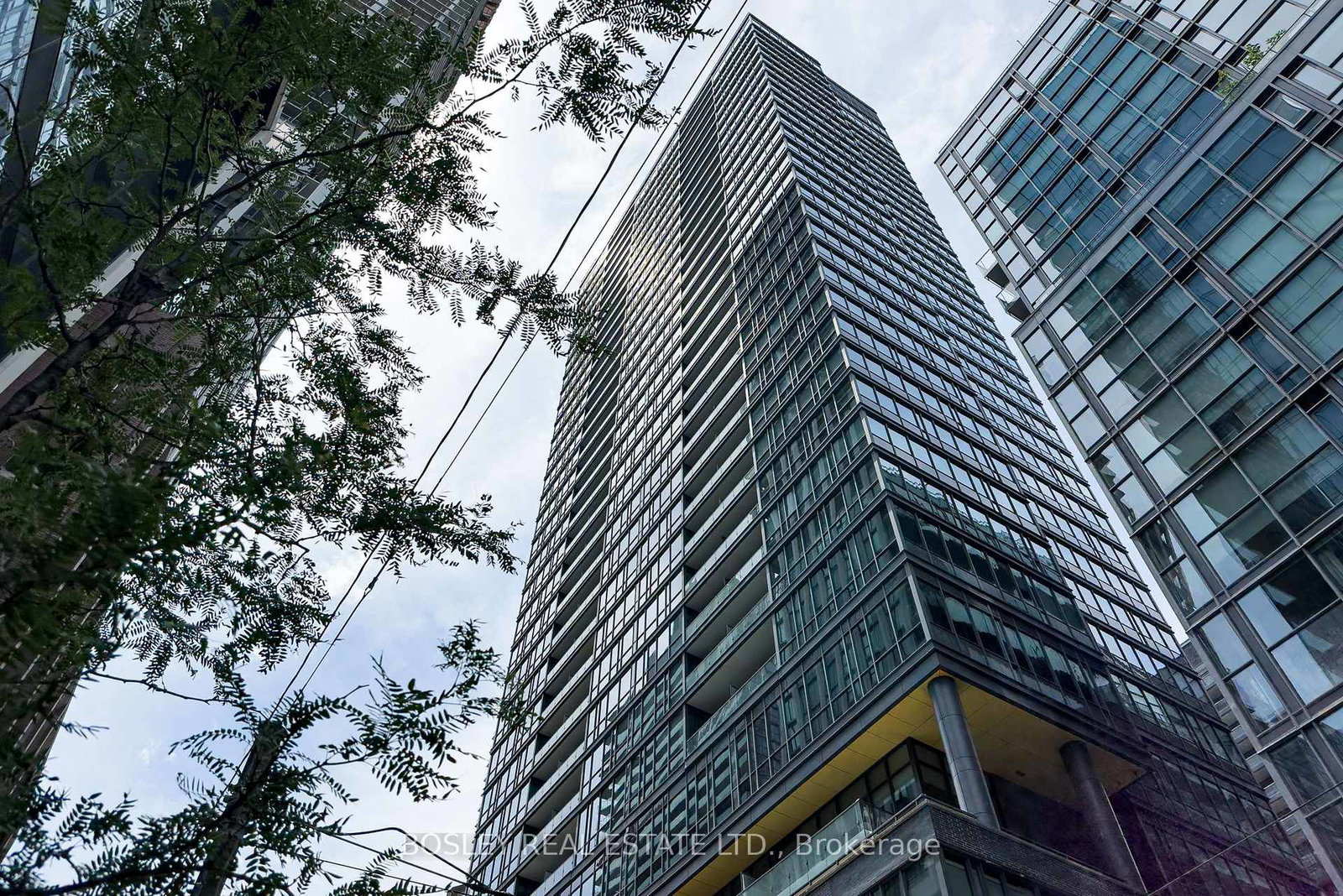 8-charlotte-street-toronto-ontario-c12261517