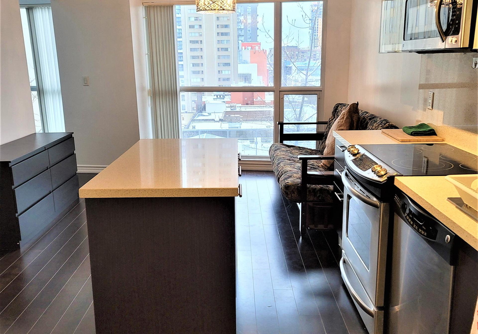 386-yonge-street-toronto-ontario-c12264278