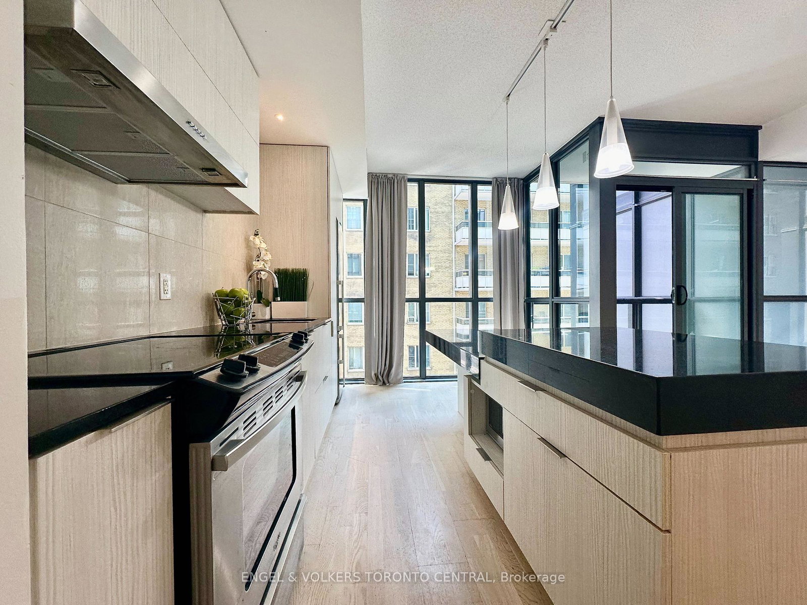 101-charles-street-e-toronto-ontario-c12266562
