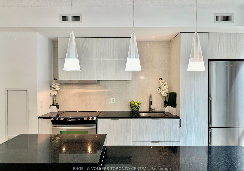 101-charles-street-e-toronto-ontario-c12266562