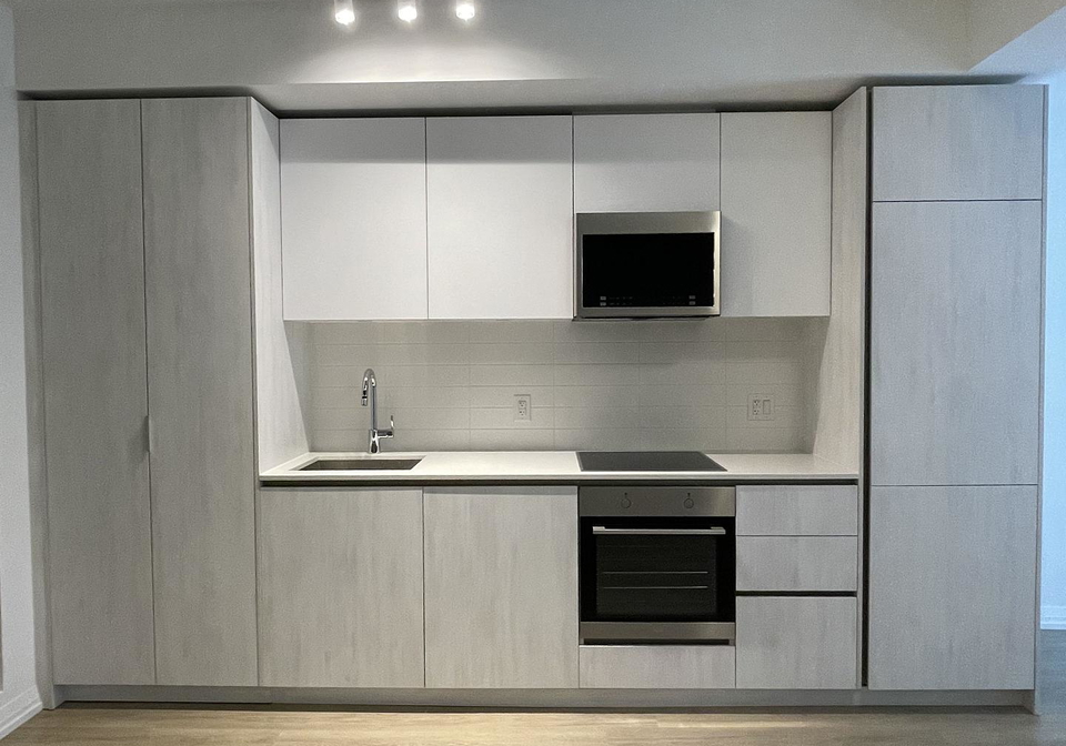 8-widmer-street-toronto-ontario-c12268461