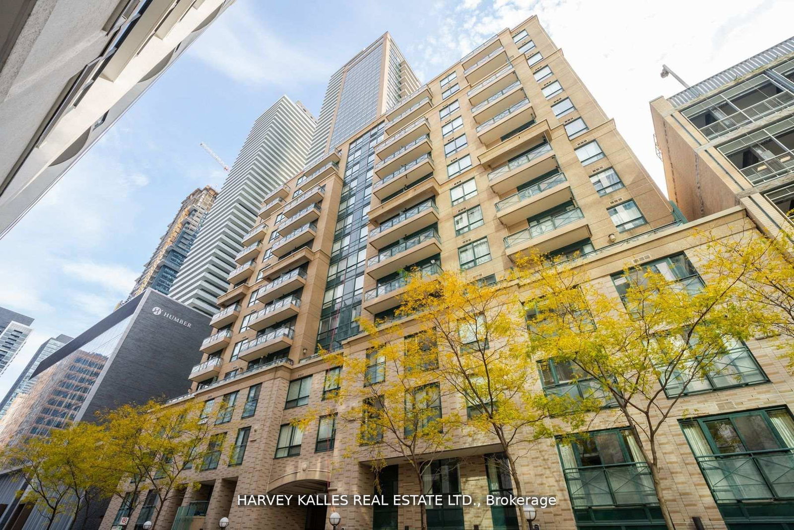 35-hayden-street-toronto-ontario-c12283063