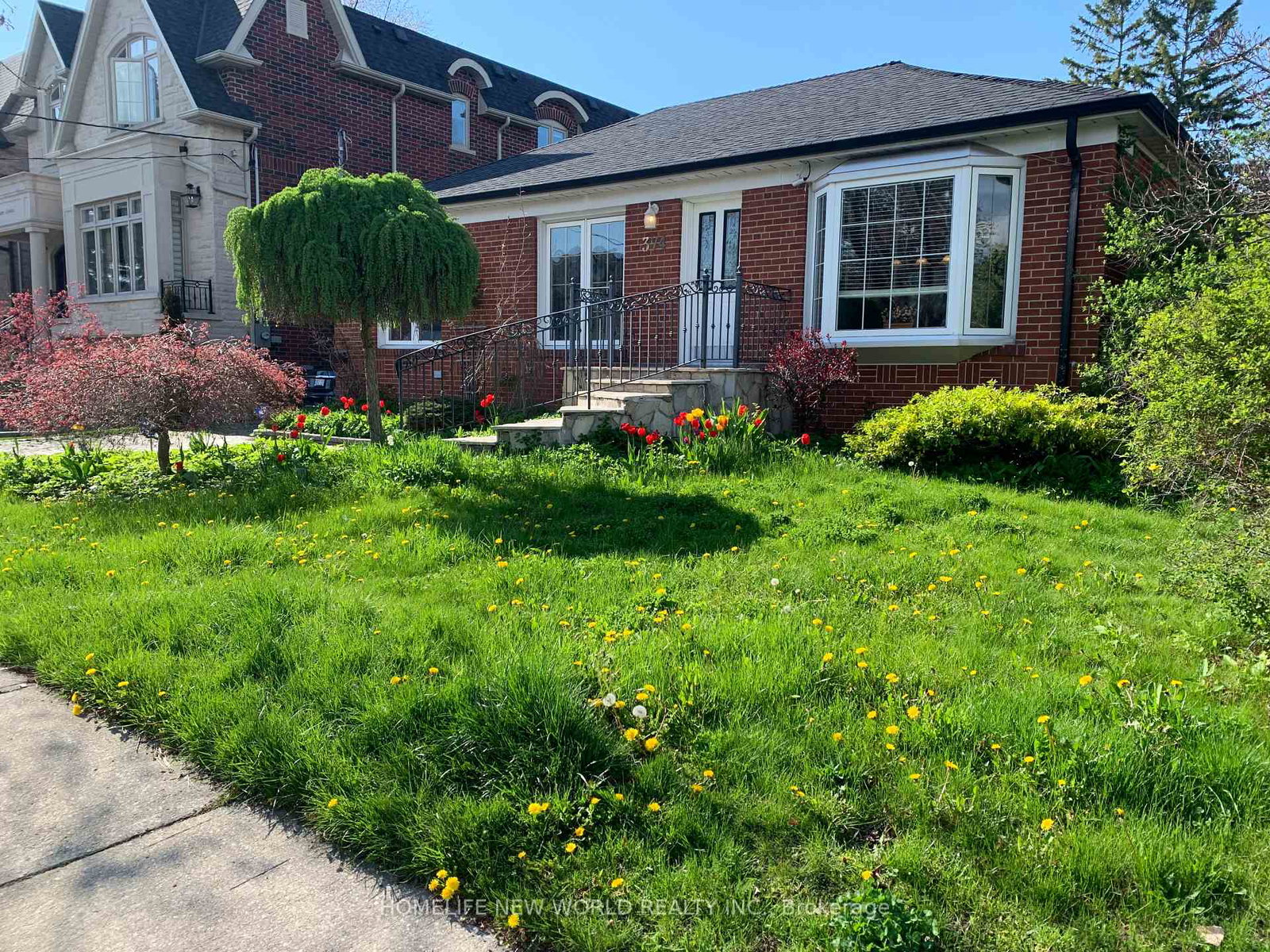 374-horsham-avenue-n-n-toronto-ontario-c12290066