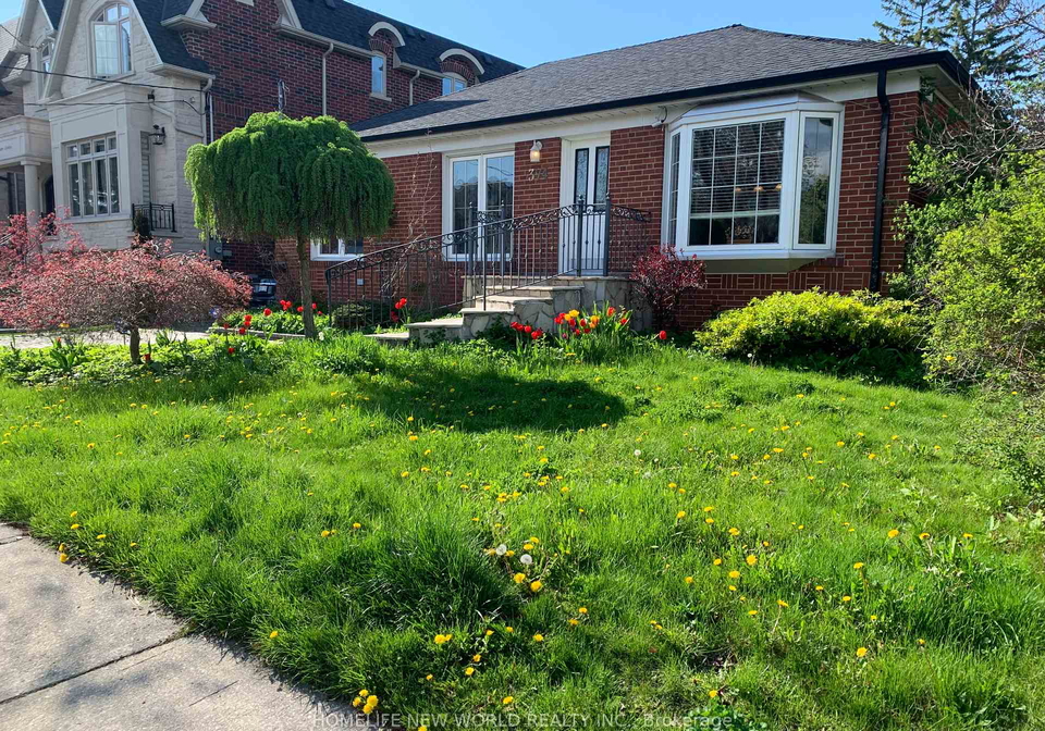 374-horsham-avenue-n-n-toronto-ontario-c12290066
