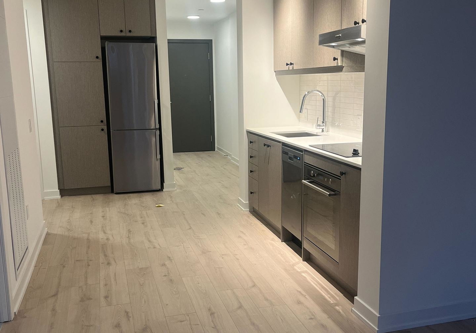 9-tecumseth-street-toronto-ontario-c12291387
