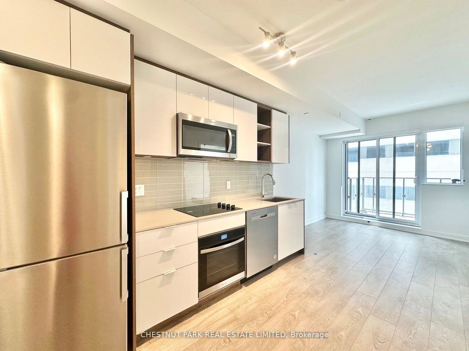 543-richmond-street-w-w-toronto-ontario-c12300340