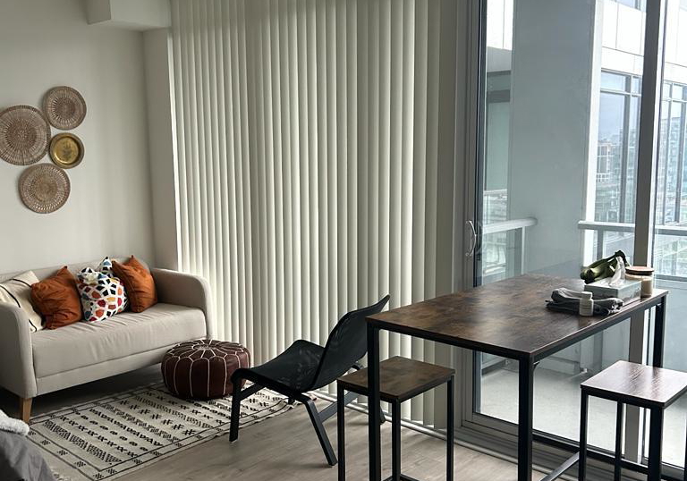576-front-street-w-w-toronto-ontario-c12310588