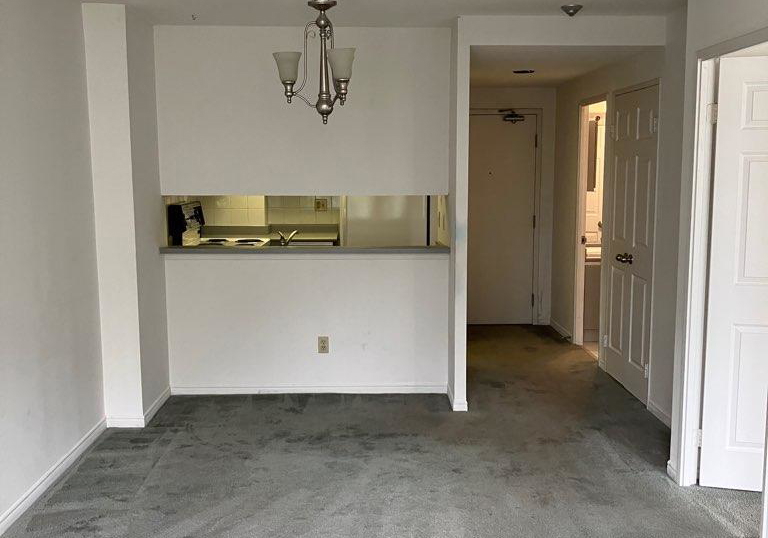 7-bishop-avenue-north-york-ontario-c12322712