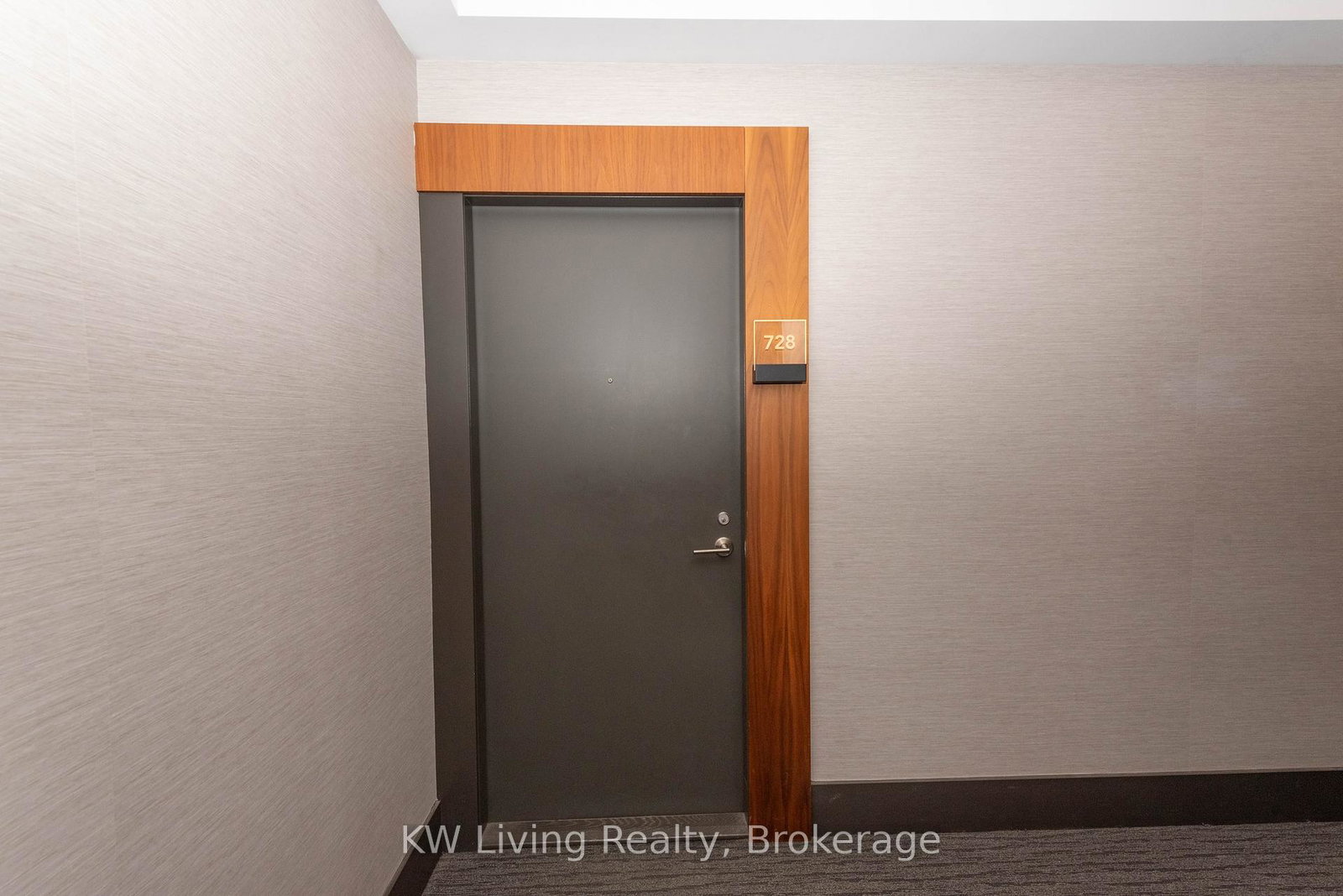 38-cameron-street-toronto-ontario-c12329701