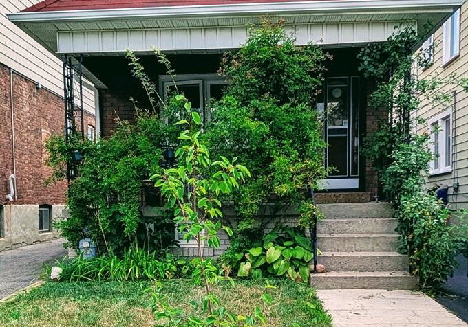 25-rockvale-avenue-w-toronto-ontario-c12331386