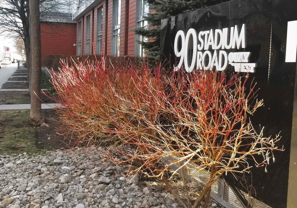 90-stadium-road-n-toronto-ontario-c12337729