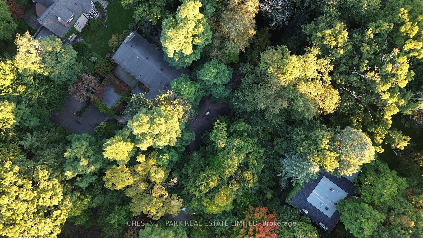 6c-wychwood-park-toronto-ontario-c12337848