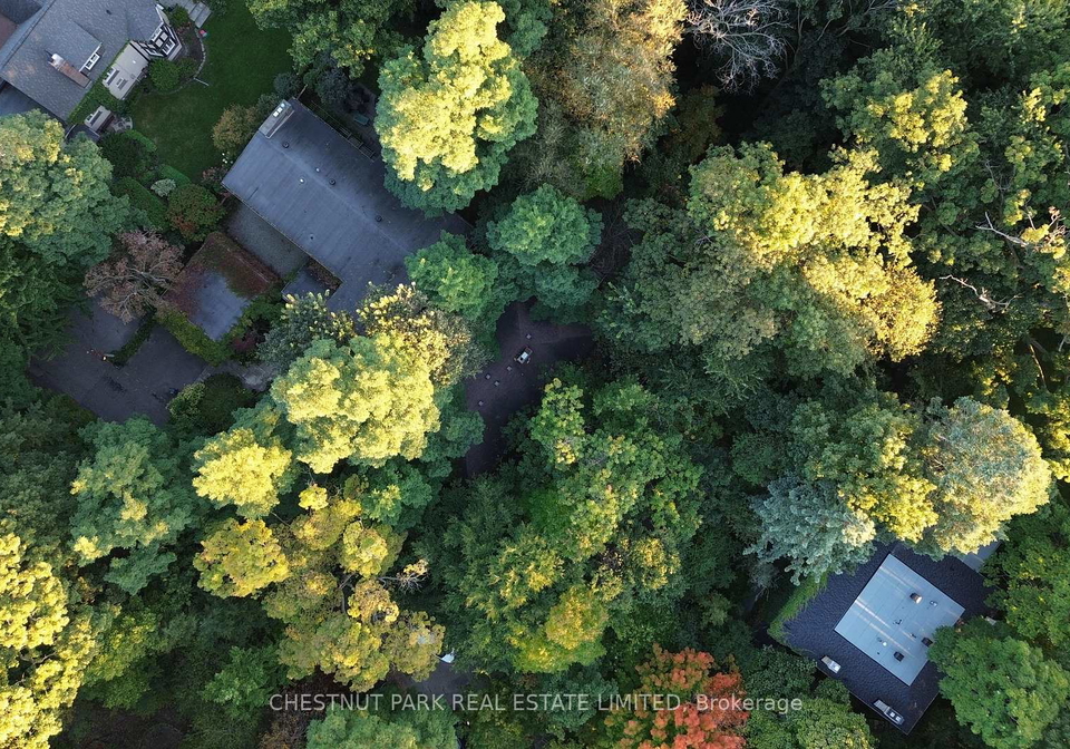 6c-wychwood-park-toronto-ontario-c12337848