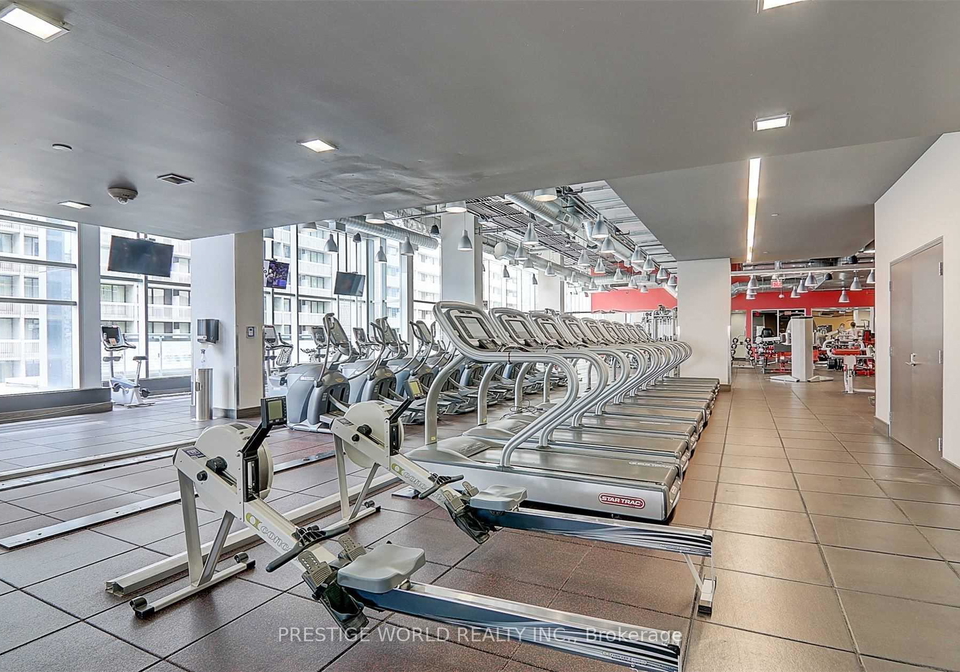 386-yonge-street-toronto-ontario-c12343920