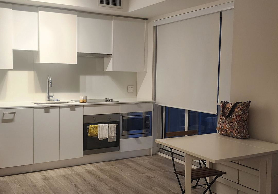 195-redpath-avenue-toronto-ontario-c12344126
