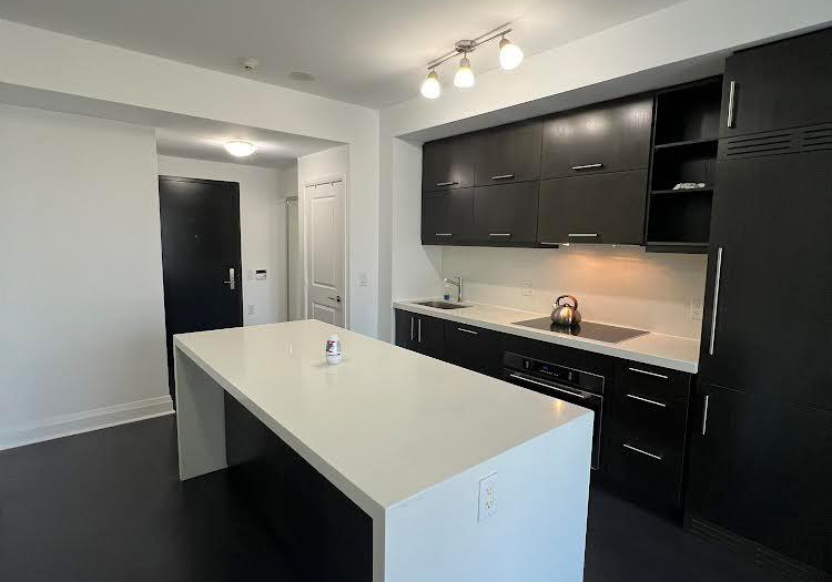 65-st-mary-street-toronto-ontario-c12344372