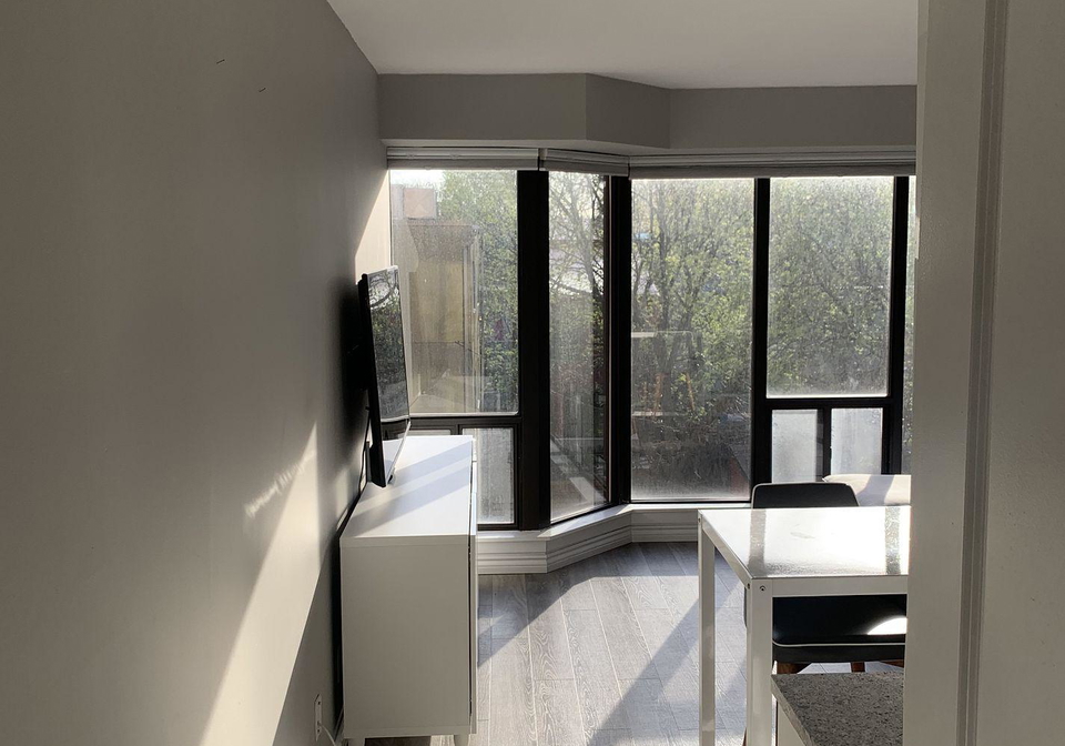 456-college-street-toronto-ontario-c12350056