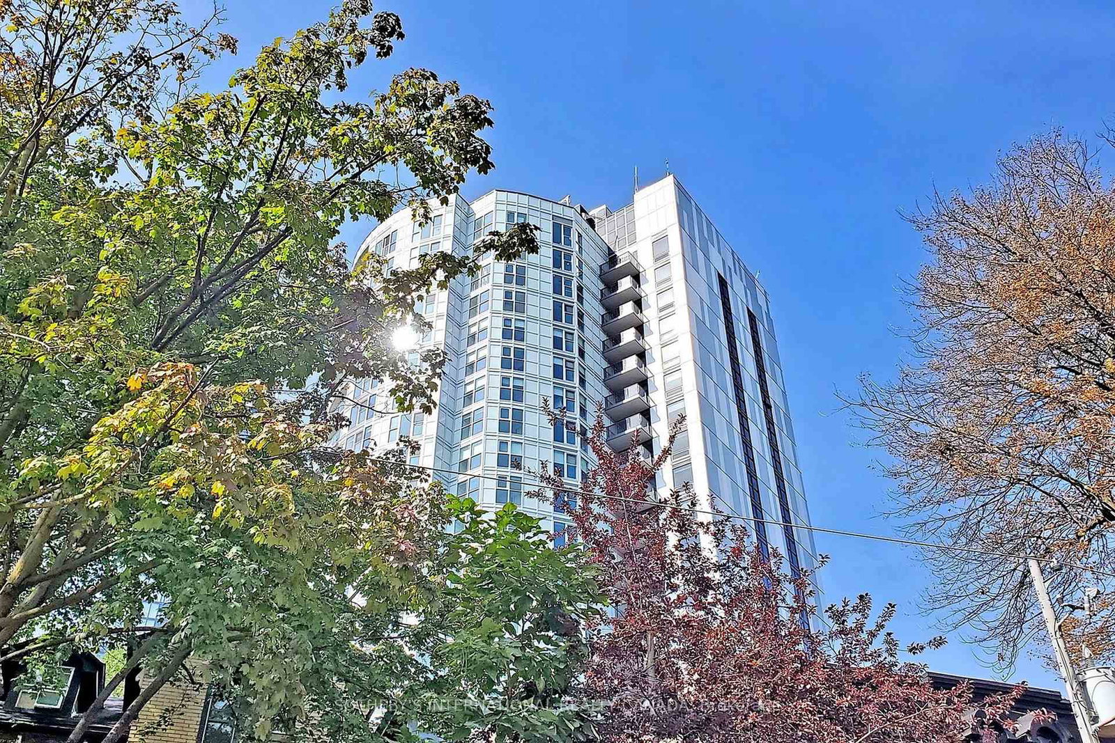 219-dundas-street-e-toronto-ontario-c12350315
