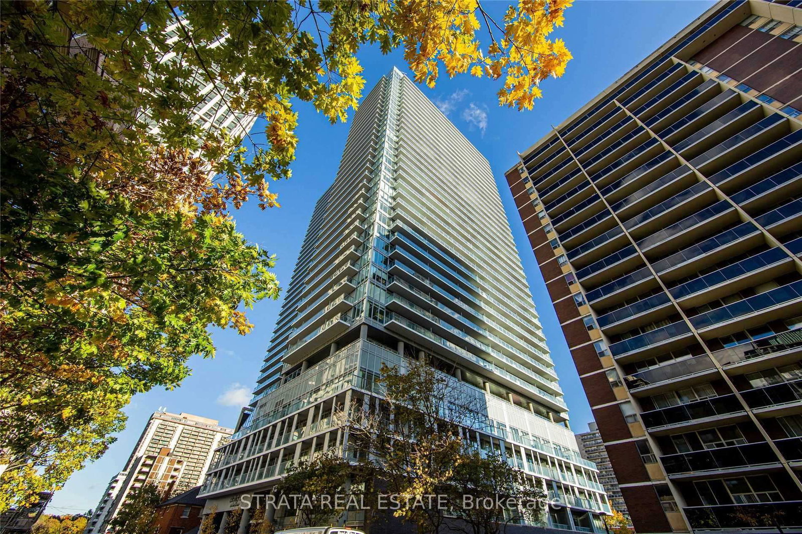 195-redpath-avenue-toronto-ontario-c12351833