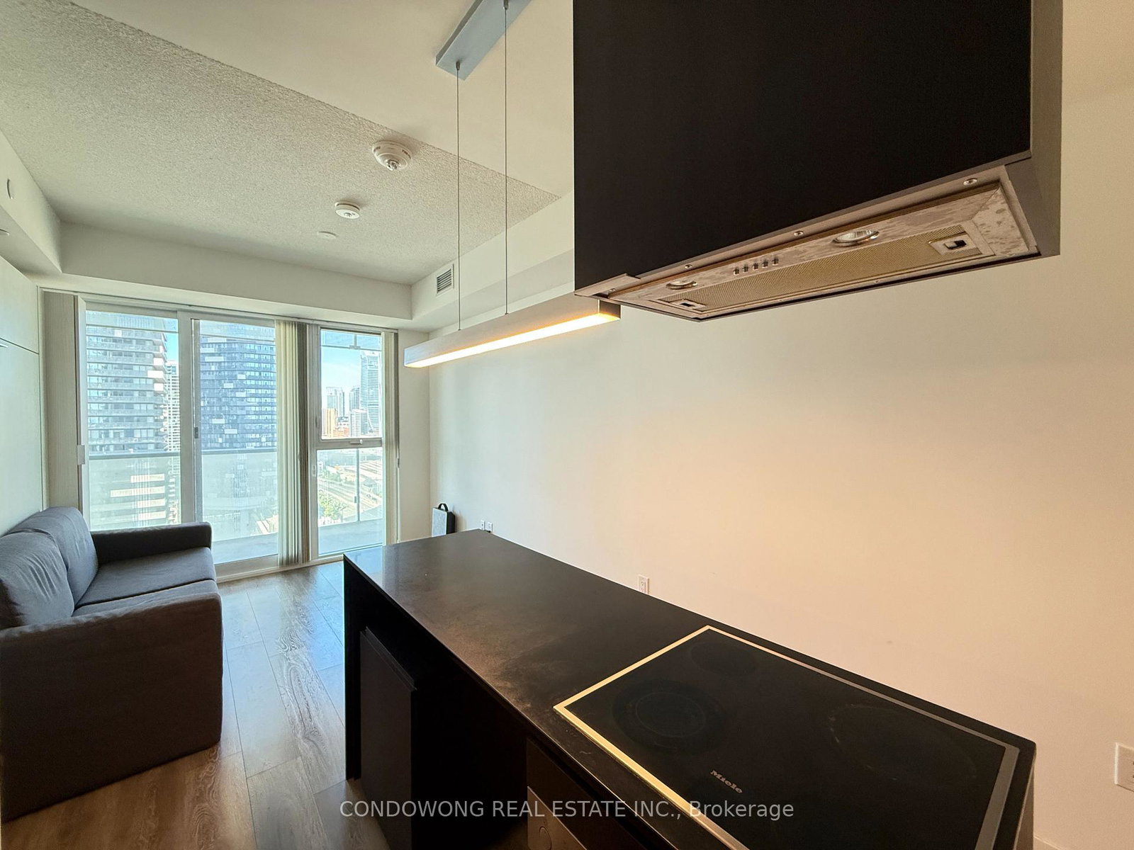 15-lower-jarvis-street-toronto-ontario-c12355906