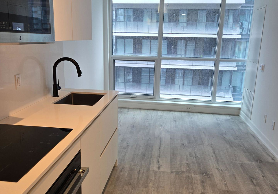 321-king-street-w-toronto-ontario-c12357476