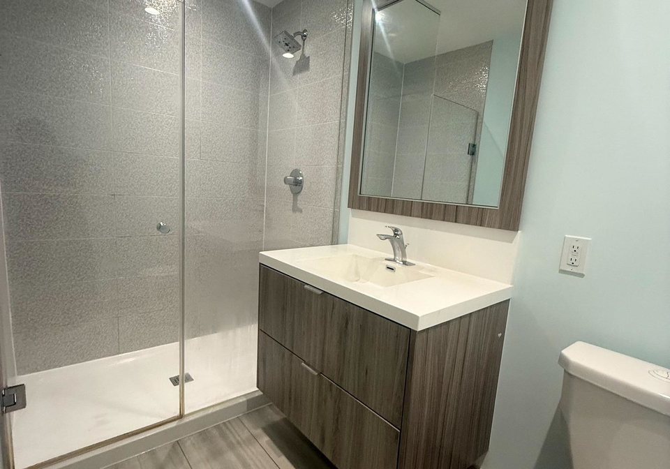 80-vanauley-street-toronto-ontario-c12376143