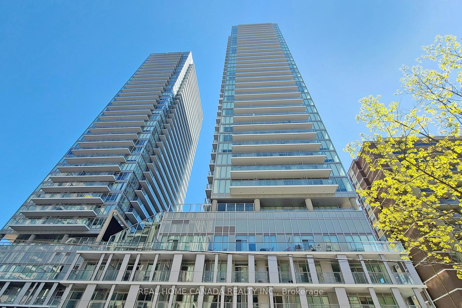 195-redpath-avenue-toronto-ontario-c12385905