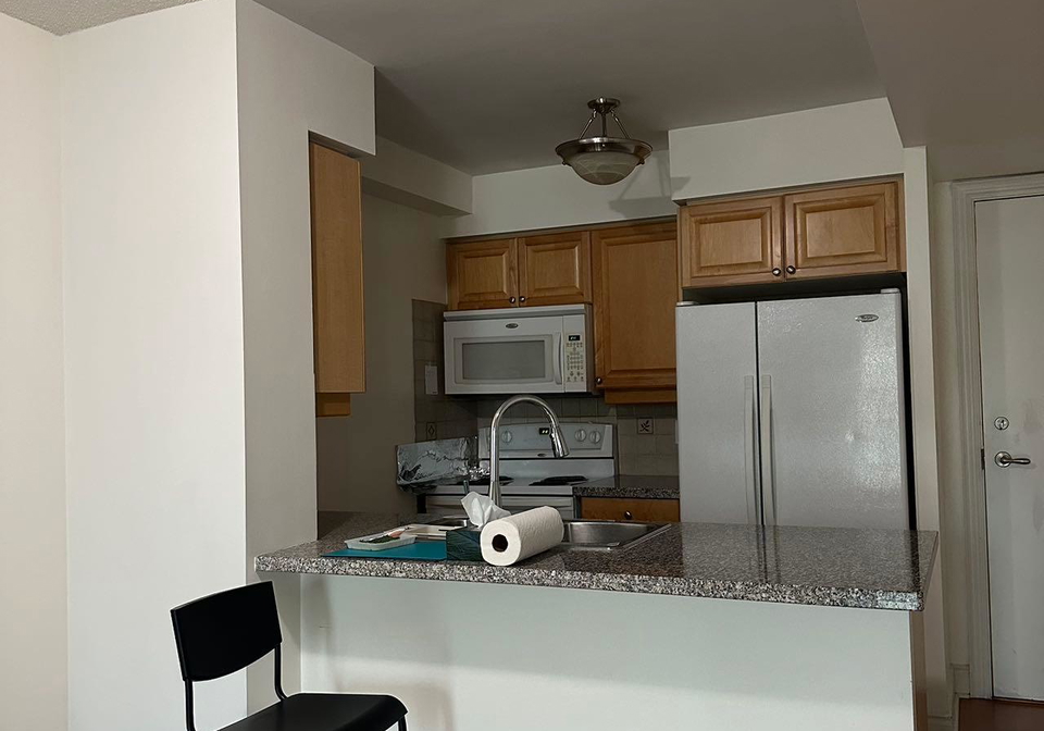 15-greenview-avenue-toronto-ontario-c12389926