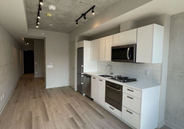 458-richmond-street-w-toronto-ontario-c12406486