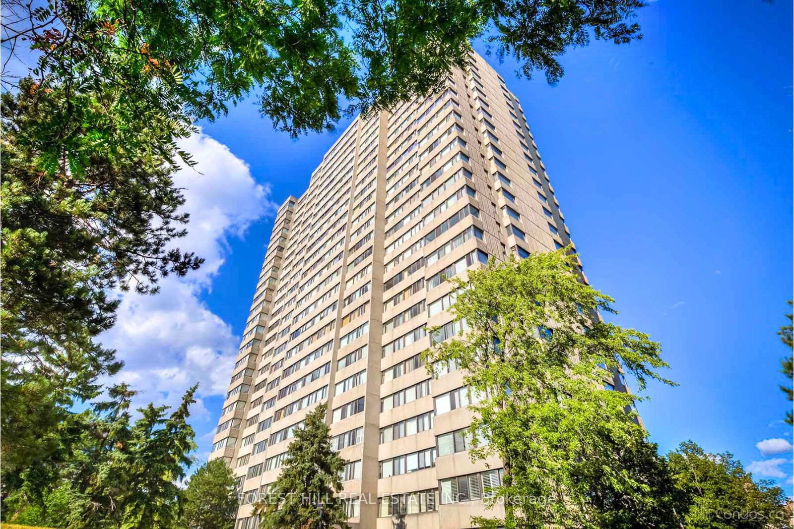 133-torresdale-avenue-toronto-ontario-c12407855