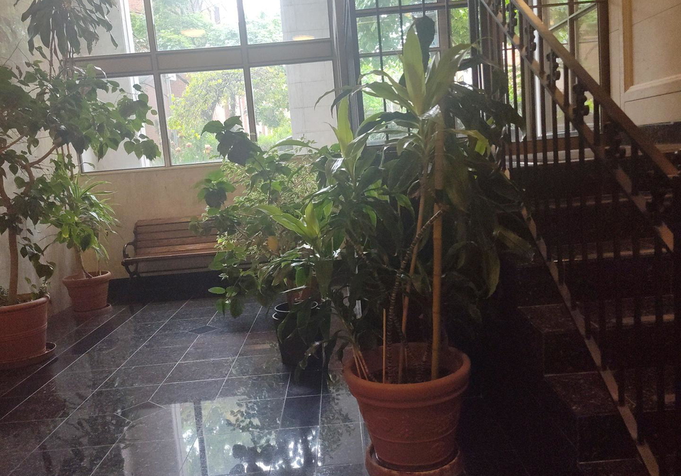 65-scadding-avenue-toronto-ontario-c12408249